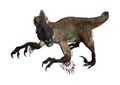 3D Rendering Dinosaur Utahraptor on White Royalty Free Stock Photo