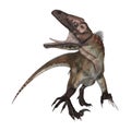 3D Rendering Dinosaur Utahraptor on White