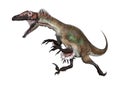 3D Rendering Dinosaur Utahraptor on White Royalty Free Stock Photo