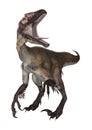 3D Rendering Dinosaur Utahraptor on White