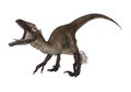 3D Rendering Dinosaur Utahraptor on White Royalty Free Stock Photo