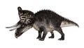 3D Rendering Dinosaur Zuniceratops on White