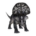 3D Rendering Dinosaur Zuniceratops on White Royalty Free Stock Photo