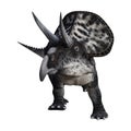 3D Rendering Dinosaur Zuniceratops on White Royalty Free Stock Photo