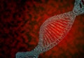 3d rendering of DNA. Abstract polygonal wireframe DNA molecule helix spiral on red background. 3d concept for Medical science, Royalty Free Stock Photo