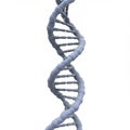 A 3D rendering of a DNA double helix structure, featuring two intertwining strands Royalty Free Stock Photo