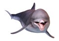 3D Rendering Dolphin on White