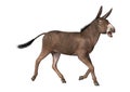 3D Rendering Donkey on White