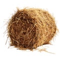 3D Rendering of a Dry Hale Bale on Transparent Background - Ai Generated Royalty Free Stock Photo