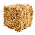 3D Rendering of a Dry Hale Bale on Transparent Background - Ai Generated Royalty Free Stock Photo
