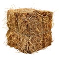3D Rendering of a Dry Hale Bale on Transparent Background - Ai Generated Royalty Free Stock Photo