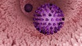 3d rendering of Echovirus or enteric cytopathic human orphan virus