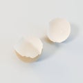 3d rendering eggs shell on white background