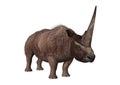 3D Rendering Elasmotherium on White Royalty Free Stock Photo