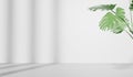 3D rendering of empty space with Monstera leaves, Abstract minimal display empty space. Geometry podium for beauty cosmetic