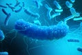 3D rendering Enterobacterias. Gram negativas Proteobacteria, bacteria such as salmonella, escherichia coli, yersinia Royalty Free Stock Photo