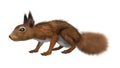 3D Rendering European Red Squirrel on White Royalty Free Stock Photo