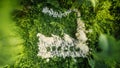 3D rendering of a factory made of tiny white mushrooms surrounded by green moss and ferns, highlighting the sustainable Royalty Free Stock Photo