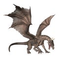 3D Rendering Fantasy Dragon on White Royalty Free Stock Photo