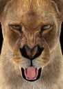 3D Rendering Female Lion