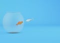 3D rendering of fish meeting a goldfish in a small aquarium isolated on a blue backgroun