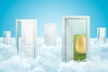 3d rendering of five doors standing on fluffy clouds, one door leading to green lawn with huge gold egg on it.