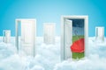 3d rendering of five doors standing on fluffy clouds, one door leading to green lawn with red umbrella lying upside down
