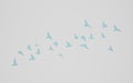 3D rendering flying birds flock silhouettes on wall cut out background. pigeon outline. symbol of freedom