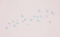3D rendering flying birds flock silhouettes on wall cut out background. pigeon outline. symbol of freedom