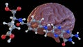 folic acid molecules also known as vitamin B9 and human brain