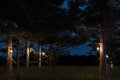 3d rendering of forest at night with hanging lighten storm lantern