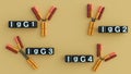3D rendering of the four human IgG subclasses (IgG1, IgG2, IgG3, IgG4). Royalty Free Stock Photo