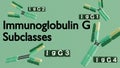 3D rendering of the four human IgG subclasses (IgG1, IgG2, IgG3, IgG4). Royalty Free Stock Photo