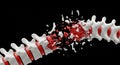 3D Rendering of a Fractured Human Spine with Red Intervertebral Discs vertebrae spinal column Royalty Free Stock Photo