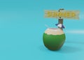 summer signboard with palm trees, surfboards and young coconuts, 3d render