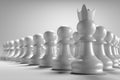 3D rendering front view of many pawn chess with leader in front of them in white background wallpaper