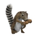 3D Rendering Gambian Sun Squirrel on White Royalty Free Stock Photo