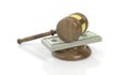 3D rendering of gavel on100 Dollars banknote pack