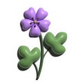 3D rendering geranium flower