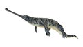 3D Rendering Gharial crocodile on White