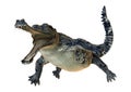 3D Rendering Gharial on White