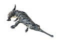 3D Rendering Gharial on White