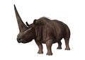 3D Rendering Rhinoceros Elasmotherium on White