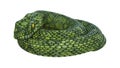 3D Rendering Giant Fantasy Snake on White Royalty Free Stock Photo