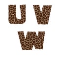 Giraffe fur alphabet - letters U-W Royalty Free Stock Photo