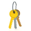 3D Rendering of gold silver and bronze keys in a key chain Royalty Free Stock Photo