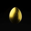 3d rendering, golden egg isolated on black background Royalty Free Stock Photo