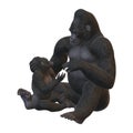 3D Rendering Gorillas on White