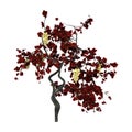 3D Rendering Grapevine Plant on White