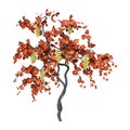 3D Rendering Grapevine on White